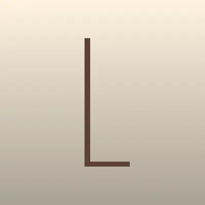 Ladyshop, магазин женской одежды, лого-визитка